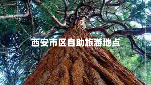 西安市區(qū)自助旅游地點(diǎn)