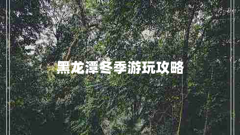 黑龍?zhí)抖居瓮婀ヂ? title=
