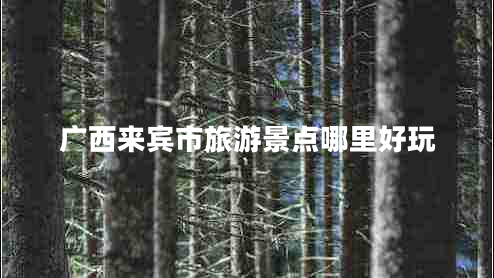 廣西來賓市旅游景點(diǎn)哪里好玩