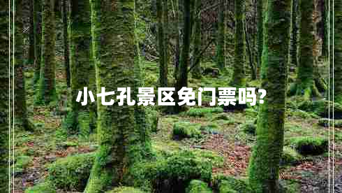 小七孔景區(qū)免門票嗎?