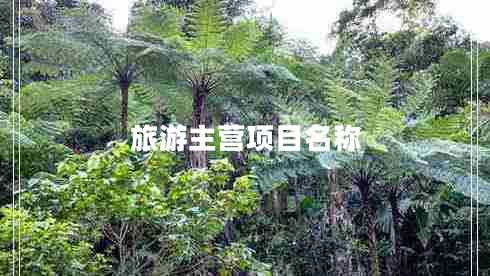 旅游主營項(xiàng)目名稱