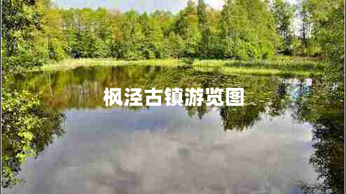 楓涇古鎮(zhèn)游覽圖