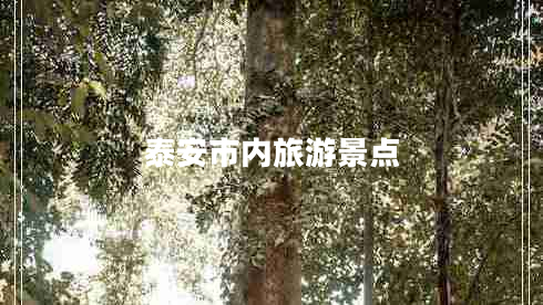 泰安市內(nèi)旅游景點(diǎn)