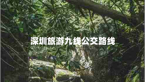深圳旅游九線公交路線
