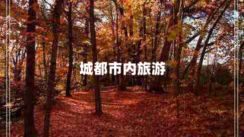 城都市內(nèi)旅游
