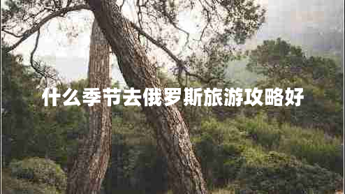 什么季節(jié)去俄羅斯旅游攻略好