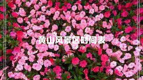 黃山風景區(qū)時間表