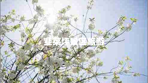 韭菜坪景區(qū)旅游