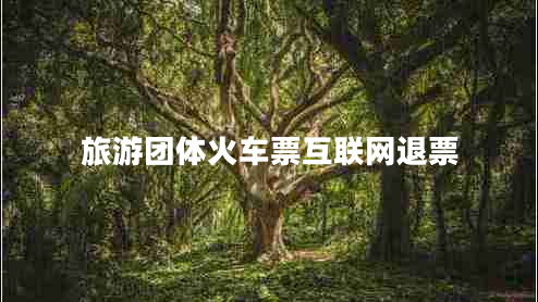 旅游團(tuán)體火車票互聯(lián)網(wǎng)退票