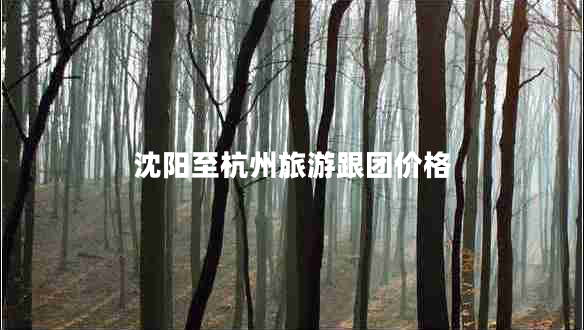 沈陽至杭州旅游跟團價格