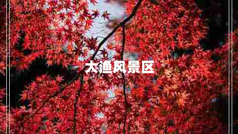 大漁風(fēng)景區(qū)
