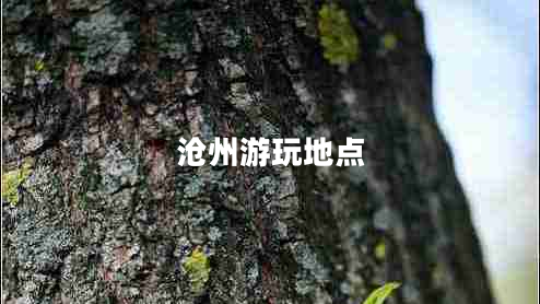 滄州游玩地點