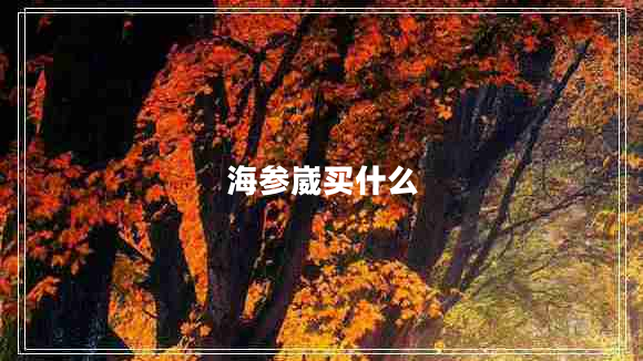 海參崴買什么