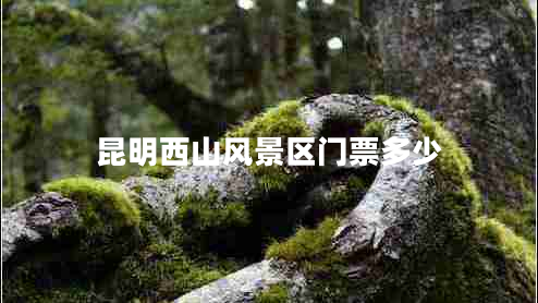 昆明西山風景區(qū)門票多少