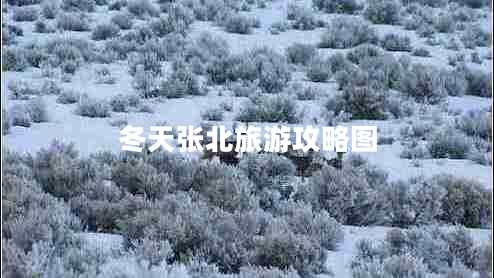 冬天張北旅游攻略圖