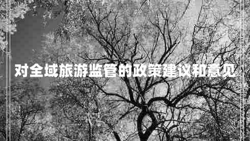 對(duì)全域旅游監(jiān)管的政策建議和意見
