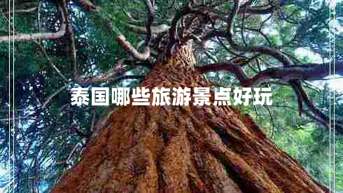 泰國(guó)哪些旅游景點(diǎn)好玩