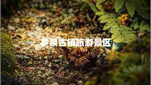 羅泉古鎮(zhèn)旅游景區(qū)