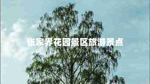 張家界花園景區(qū)旅游景點(diǎn)