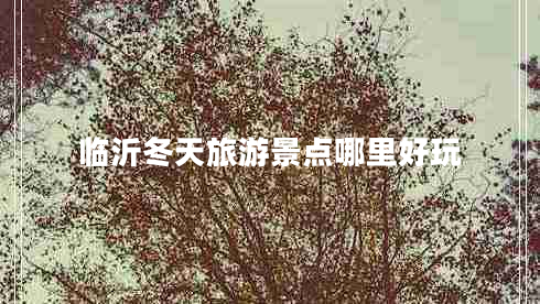 臨沂冬天旅游景點哪里好玩