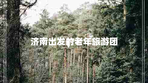濟(jì)南出發(fā)的老年旅游團(tuán)