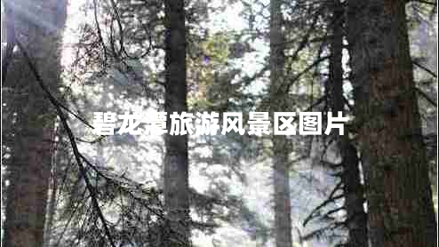 碧龍?zhí)堵糜物L(fēng)景區(qū)圖片