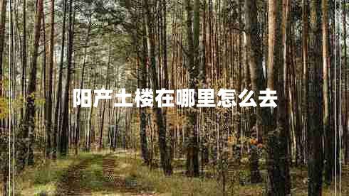 陽產(chǎn)土樓在哪里怎么去