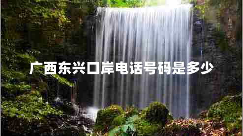 廣西東興口岸電話號碼是多少