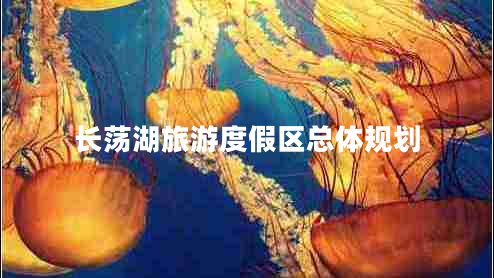 長(zhǎng)蕩湖旅游度假區(qū)總體規(guī)劃