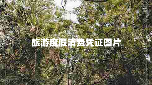 旅游度假消費(fèi)憑證圖片