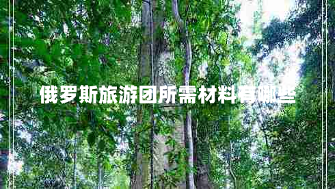 俄羅斯旅游團(tuán)所需材料有哪些