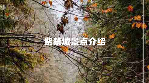 紫禁城景點介紹