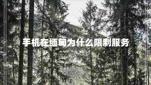 手機(jī)在緬甸為什么限制服務(wù)