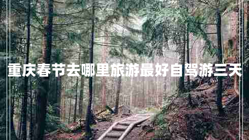 重慶春節(jié)去哪里旅游最好自駕游三天