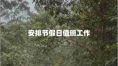 安排節(jié)假日值班工作