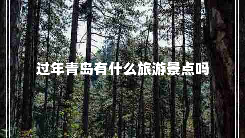 過年青島有什么旅游景點(diǎn)嗎