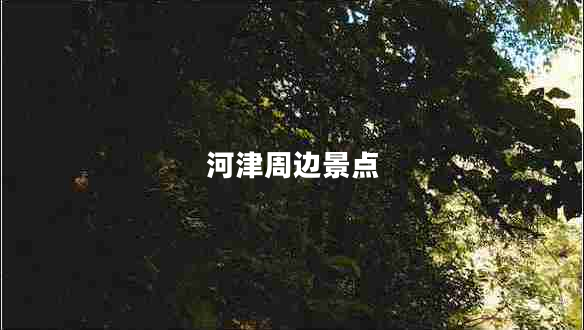 河津周邊景點