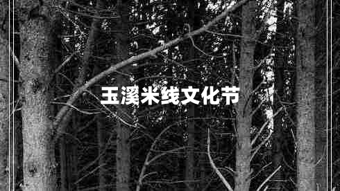 玉溪米線文化節(jié)