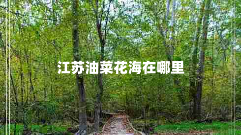 江蘇油菜花海在哪里