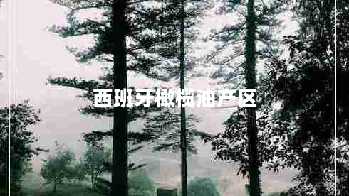 西班牙橄欖油產(chǎn)區(qū)