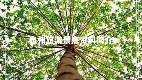 泉州旅游景點(diǎn)資料簡介