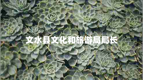 文水縣文化和旅游局局長