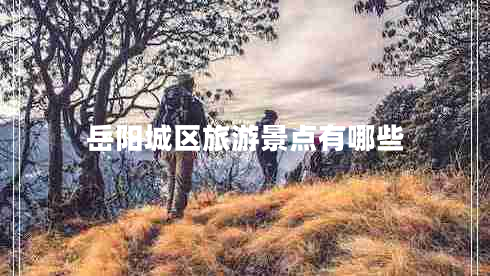 岳陽(yáng)城區(qū)旅游景點(diǎn)有哪些