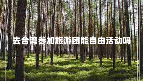 去臺灣參加旅游團(tuán)能自由活動嗎