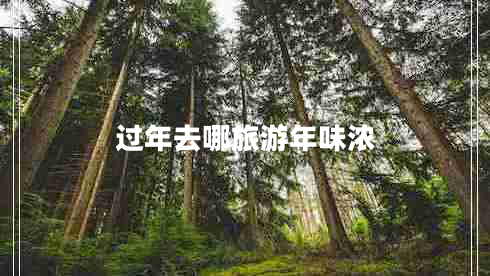 過年去哪旅游年味濃