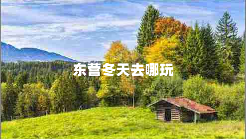 東營冬天去哪玩