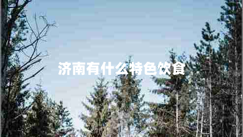 濟(jì)南有什么特色飲食