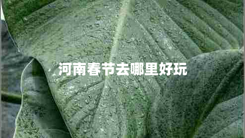 河南春節(jié)去哪里好玩