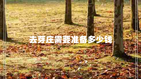 去芽莊需要準(zhǔn)備多少錢(qián)