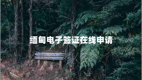 緬甸電子簽證在線申請(qǐng)